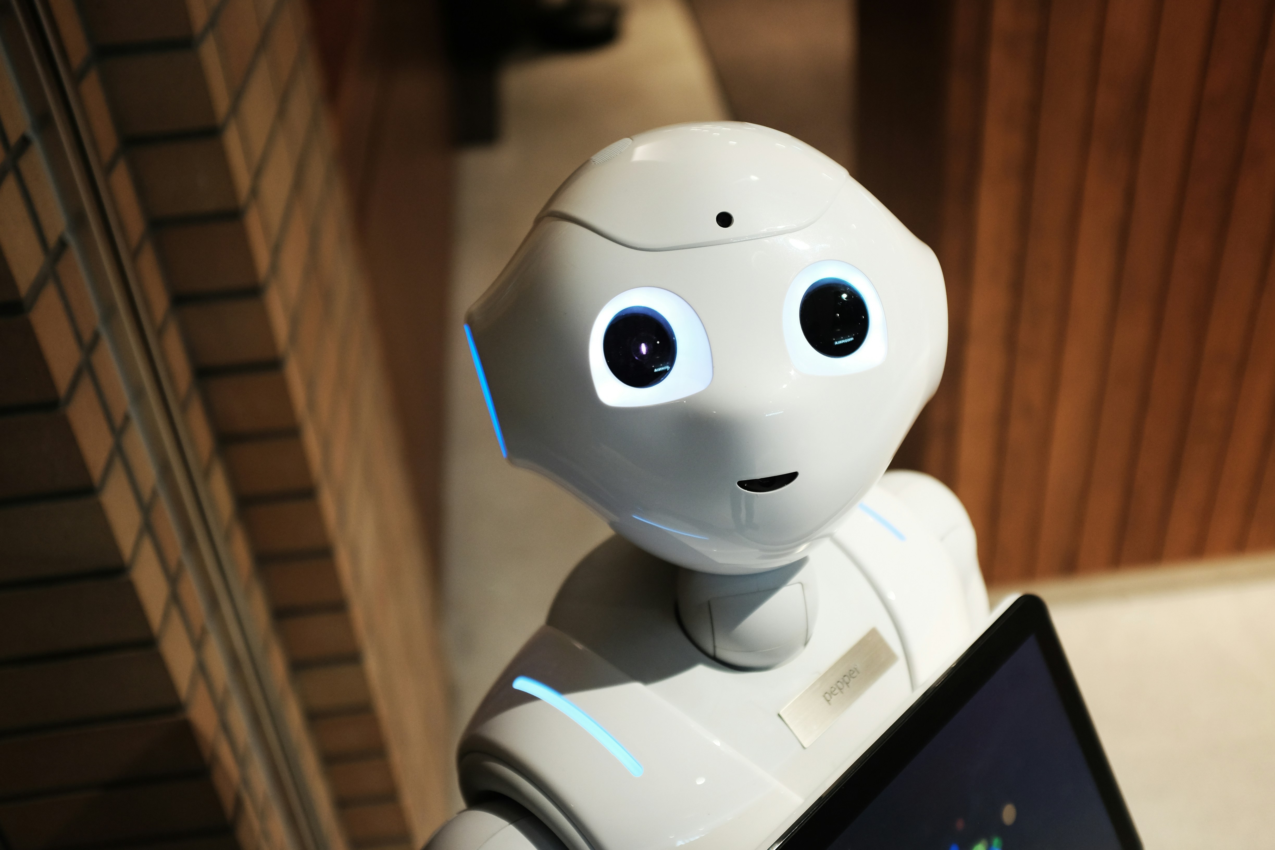 AI-tools voor ondernemers: Zo versnel je de groei van je website met kunstmatige intelligentie